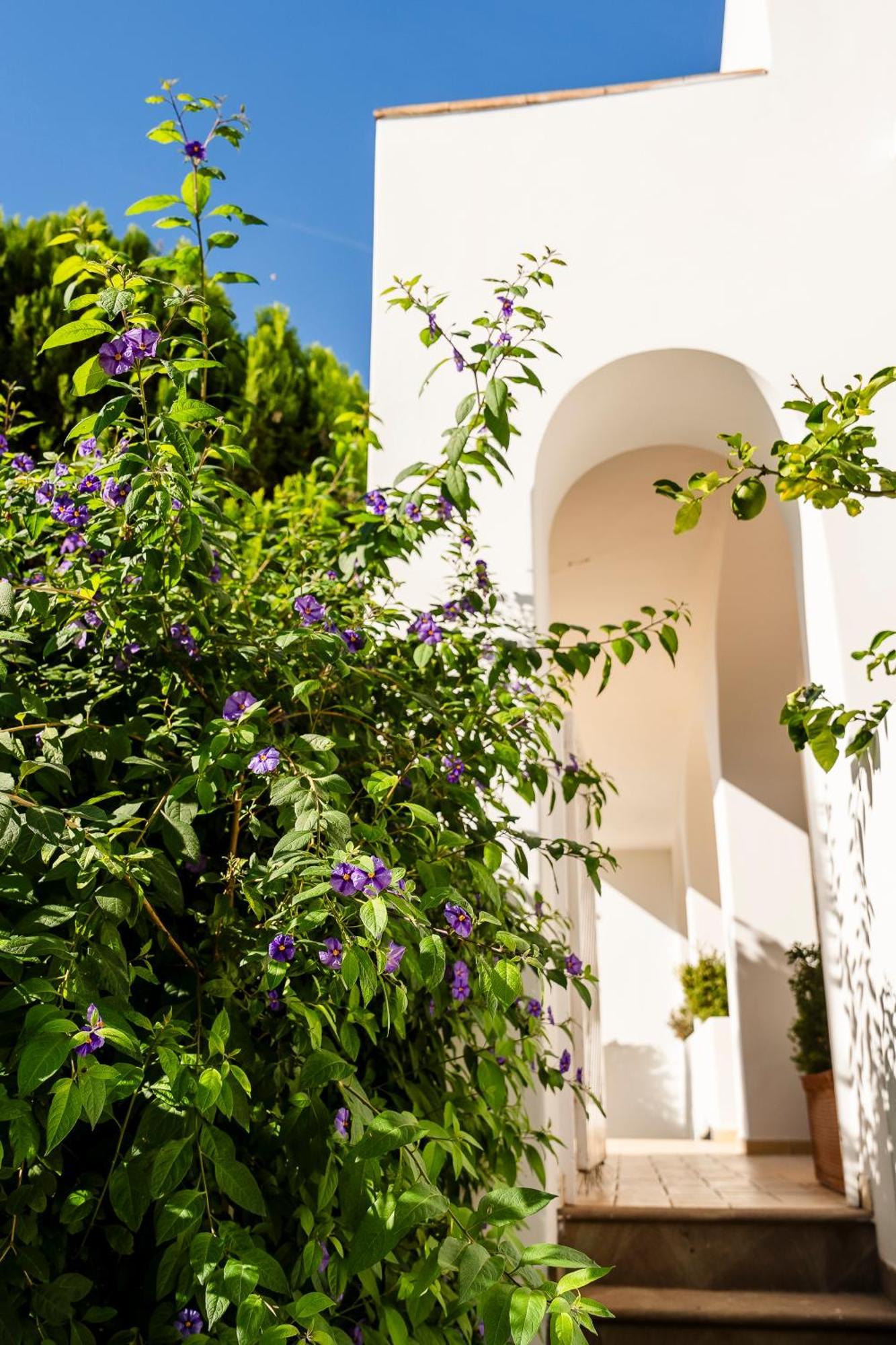 Hotel Senaria Anacapri  Exteriör bild